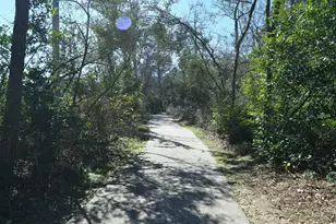 26 Yewleaf Rd, The Woodlands, TX 77381 - Photo 30