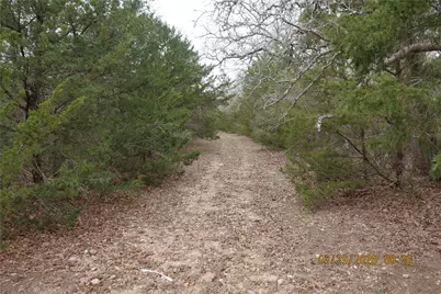 1028 Gun Rose Lane, Columbus, TX 78934 - Photo 6