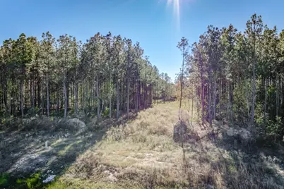 536 Road 5892, Cleveland, TX 77327 - Photo 22