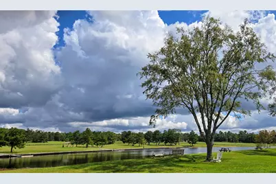 15745 Ridge Rock Road, Willis, TX 77378 - Photo 18