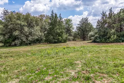 7157 Fm 1697 Tract 1, Carmine, TX 78932 - Photo 4