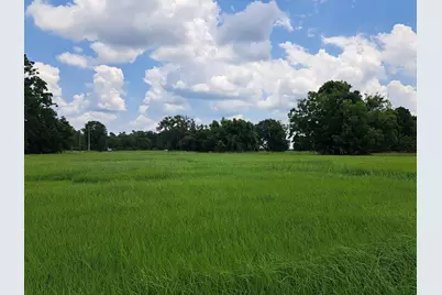 101 Cattle Drive Trail, Angleton, TX 77515 - Photo 6