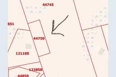 Fm 223 Fm, Shepherd, TX 77371 - Photo 1