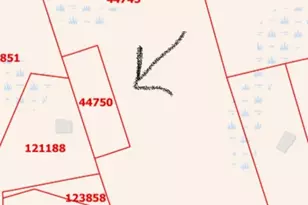 223 FM 223, Shepherd, TX 77371 - Photo 1