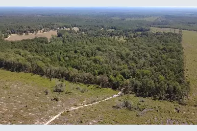 Tbd Mt Sinai Road E, Colmesneil, TX 75938 - Photo 10