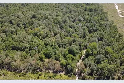 Tbd Mt Sinai Road E, Colmesneil, TX 75938 - Photo 6