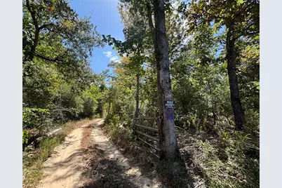Tbd Mt Sinai Road E, Colmesneil, TX 75938 - Photo 2