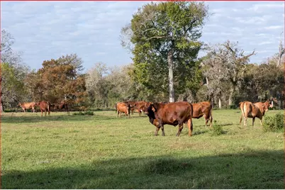 7654 County Road 121, Wharton, TX 77488 - Photo 44