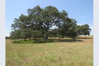 7863 Fm 332 Road, Brenham, TX 77833 - Photo 1