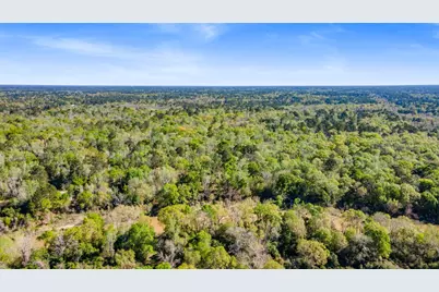 00 Redbud Drive, Conroe, TX 77302 - Photo 4