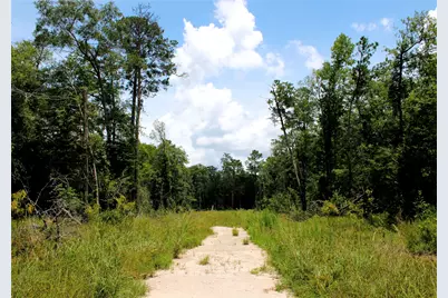 12425 Picos Road, Saratoga, TX 77585 - Photo 1
