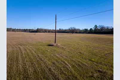 Tbd Dickey Loop, Huntsville, TX 77320 - Photo 10