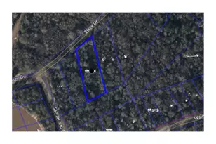 Tbd S Essex Dr, Conroe, TX 77302 - Photo 2