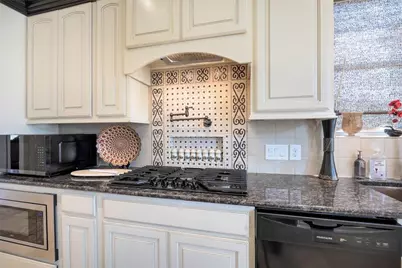 25207 Springwood Lake Drive, Katy, TX 77494 - Photo 20