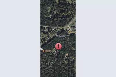 Tbd Forse Street, Woodville, TX 75979 - Photo 2