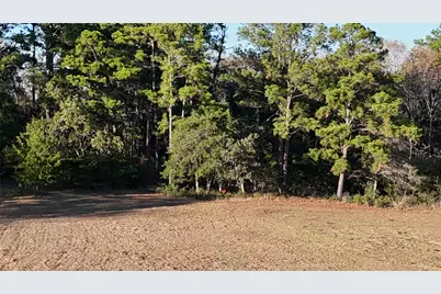 Tbd Townley Ranch Road, Huntsville, TX 77320 - Photo 16