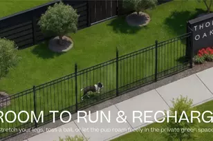 817 Thornton Rd, Houston, TX 77018 - Photo 20