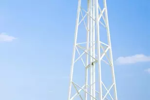 2859 Orange Leaf Dr, Fulshear, TX 77423 - Photo 8