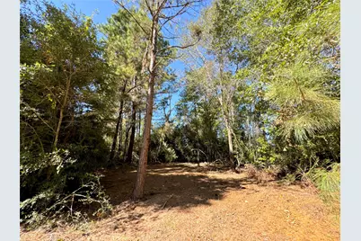 9572 State Highway 146 S, Livingston, TX 77351 - Photo 18