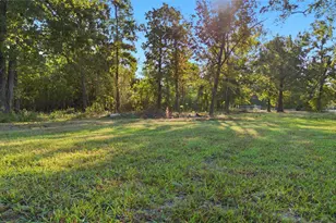Tbd (Lot 24) Deep Woods Ln, Livingston, TX 77351 - Photo 1