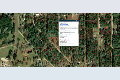 287 Johnny Cash Road, Livingston, TX 77351 - Photo 4