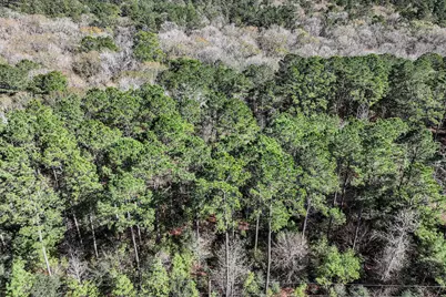 76 Wagon Pass, Huntsville, TX 77340 - Photo 16