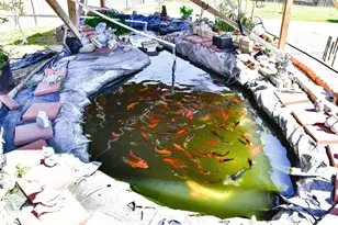 20430 Windcrest Colony Trail, Richmond, TX 77407 - Photo 26