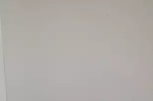 335 American Black Bear Dr, Crosby, TX 77532 - Photo 16