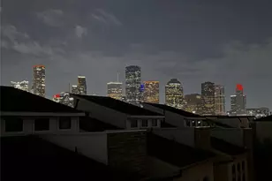 1917 Shearn St, Houston, TX 77007 - Photo 30