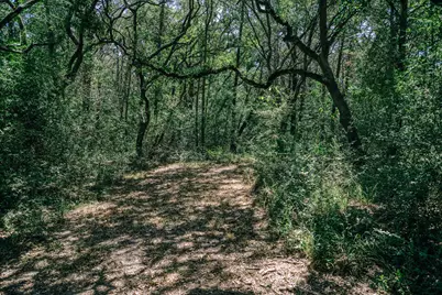 5003 Rocky Creek Manor, Burton, TX 77835 - Photo 16