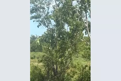 0 S 000000, Hitchcock, TX 77550 - Photo 2