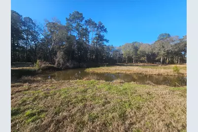 1325 Fm 223 Road, Shepherd, TX 77371 - Photo 16