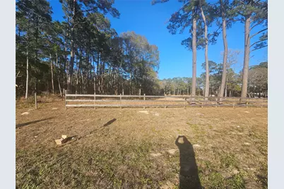 1325 Fm 223 Road, Shepherd, TX 77371 - Photo 4