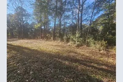 1325 Fm 223 Road, Shepherd, TX 77371 - Photo 14