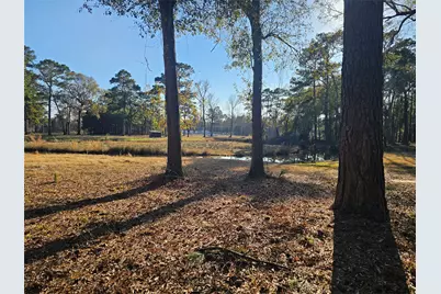 1325 Fm 223 Road, Shepherd, TX 77371 - Photo 1