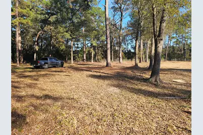 1325 Fm 223 Road, Shepherd, TX 77371 - Photo 12