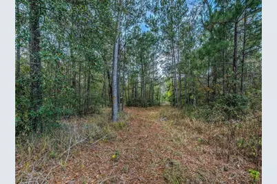 16867 Tierra Buena Drive, Plantersville, TX 77363 - Photo 32
