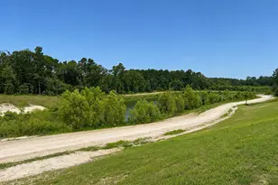 7914 Coastal Prairie Dr, Porter, TX 77365 - Photo 10