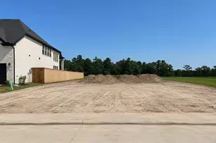 7914 Coastal Prairie Dr, Porter, TX 77365 - Photo 8