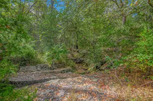 5891 Koppe Bridge Rd, College Station, TX 77845 - Photo 46