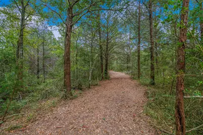 5891 Koppe Bridge Road, College Station, TX 77845 - Photo 44