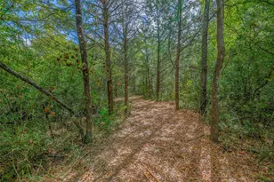 5891 Koppe Bridge Rd, College Station, TX 77845 - Photo 50