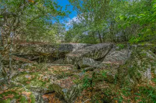 5891 Koppe Bridge Rd, College Station, TX 77845 - Photo 48