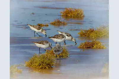 568 County Road 616, Sargent, TX 77414 - Photo 28