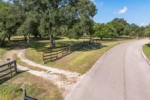 21802 Lake View Rd, Damon, TX 77430 - Photo 2