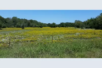 901 N Falls Drive, New Ulm, TX 78950 - Photo 24
