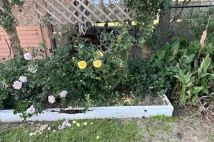 16602 Jamacia Inn St, Jamaica Beach, TX 77554 - Photo 12