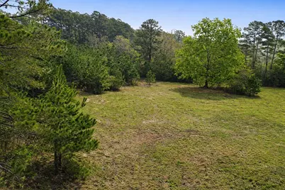 Tbd Denson Allen Road, Coldspring, TX 77331 - Photo 4