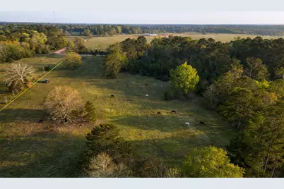 Tbd Denson Allen Road, Coldspring, TX 77331 - Photo 6