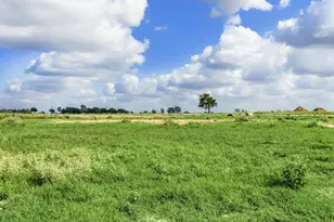 Lot 14 433 Rolling Hl Dr, Cat Spring, TX 78933 - Photo 6